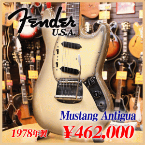 Mustang Antigua