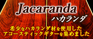 希少なハカランダを使用したアコースティックギターは
